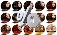 Красители Schwarzkopf — цены снижены!